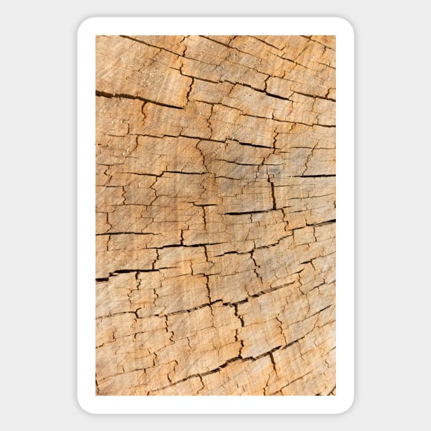 Naturally cracked wood Sticker by textural